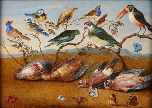 Un concert d'oiseaux - Attribué à Jan Baptist Bouttats (1680s - 1743) - Tableaux et dessins Style 