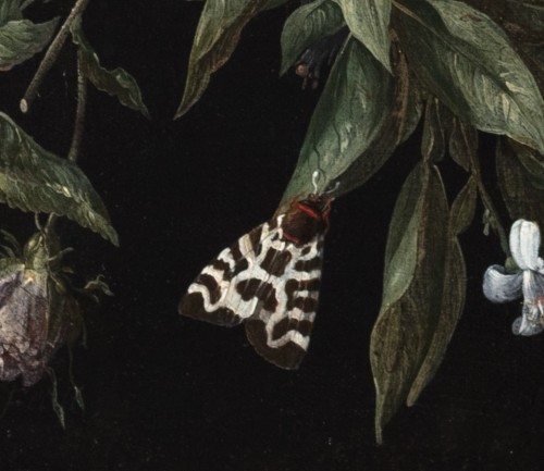 Jan van Kessel I and Jan van Balen - A garland of flowers - 