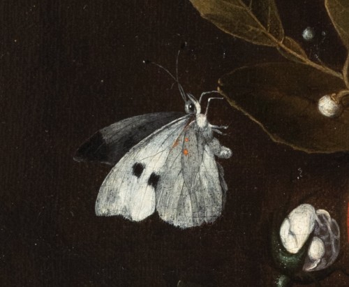 17th century - A still life of fruits and flowers - Cornelis de Heem (1631-1695)
