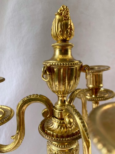 Paire de chandeliers Louis XVI en bronze doré - Jullion Antiquités