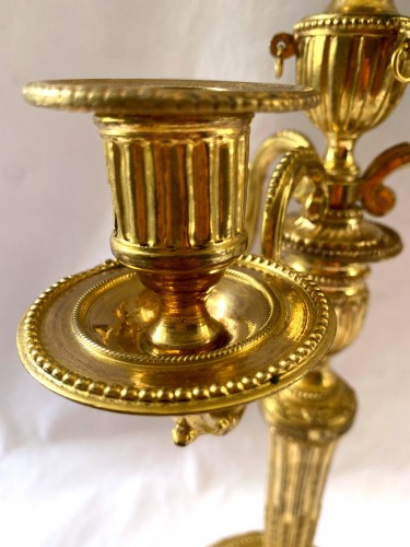 XVIIIe siècle - Paire de chandeliers Louis XVI en bronze doré
