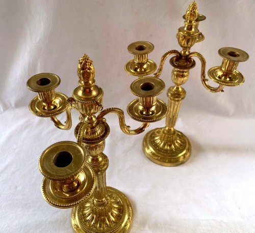 Antiquités - Paire de chandeliers Louis XVI en bronze doré
