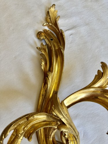 Antiquités - Paire de grandes appliques Louis XV