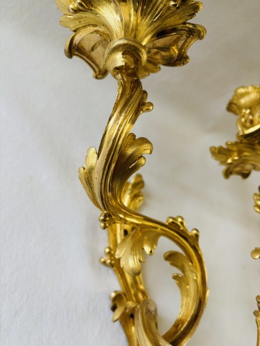 Louis XV - Paire d'appliques Louis XV en bronze doré