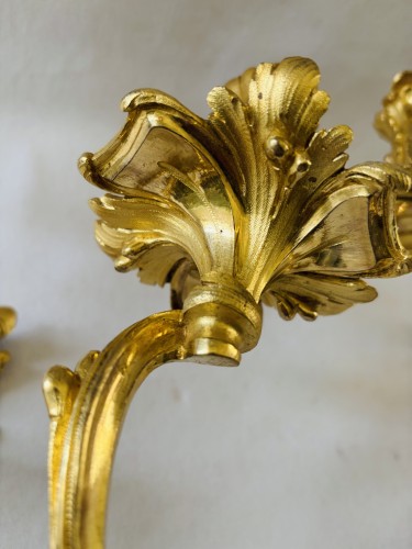 Antiquités - Paire d'appliques Louis XV en bronze doré