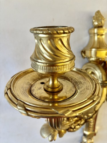 Antiquités - Paire d'applique Louis XVI en bronze doré