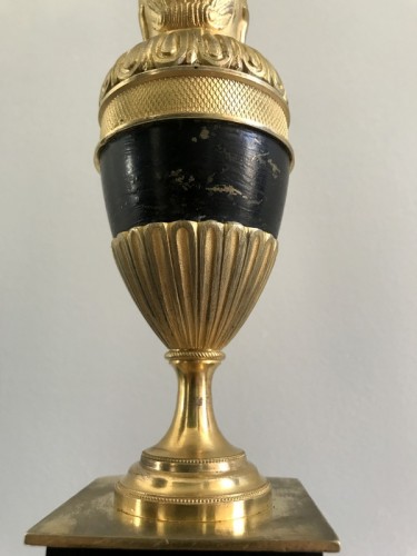 XIXe siècle - Paire d'aiguières Empire en bronze doré