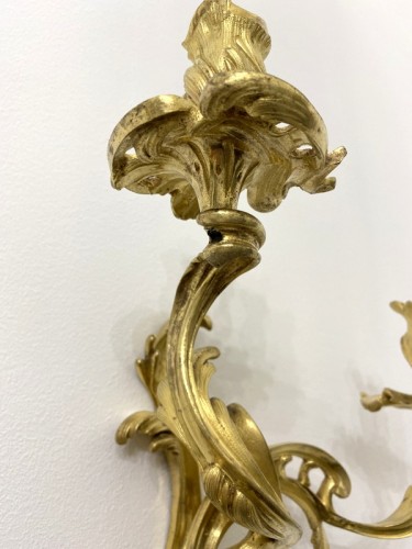 Louis XV - Paire d'appliques louis XV en bronze doré