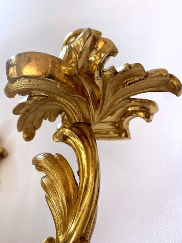 Paire d'appliques rocaille en bronze doré - Louis XV