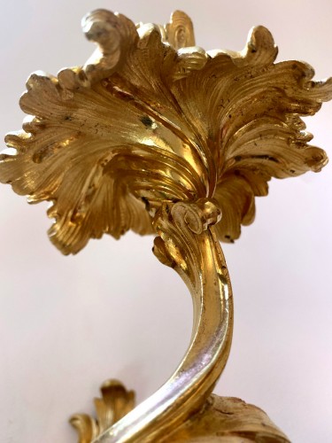 Louis XV - Paire d'appliques rocaille en bronze doré