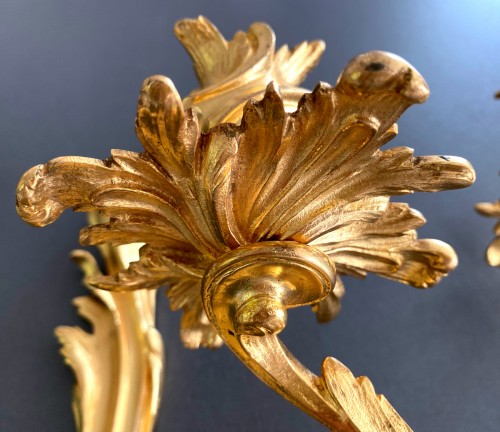 Paire d'appliques Louis XV en bronze doré - Louis XV