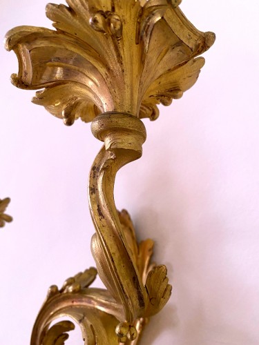 Antiquités - Paire d'appliques Louis XV en bronze doré