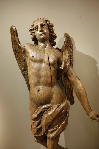 Très grand Ange ailé en chêne, 17e siècle - Sculpture Style Louis XIV