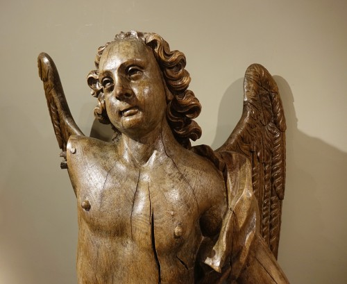 Louis XIV - Very large oak winged angel, 17th century