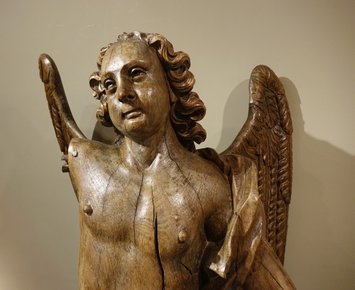 Louis XIV - Very Large Oak Winged Angel, 17th century