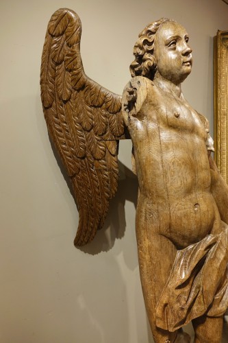 Antiquités - Très grand Ange ailé en chêne, 17e siècle