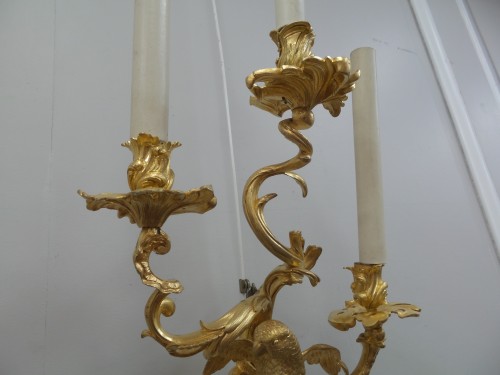 Paire d'appliques aux perroquets - Luminaires Style Napoléon III