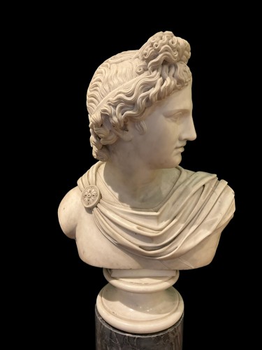 Sculpture  - Apollo del Belvedere