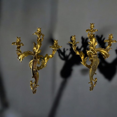 Lighting  - Pair of extremely large wall lights of the late 18th early 19th century