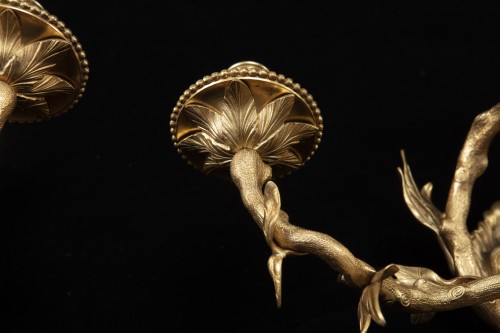 4 appliques in gilded bronze - 