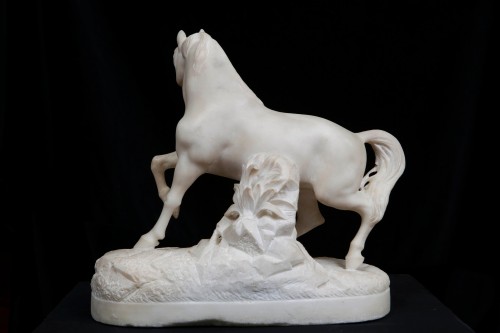 Sculpture Sculpture en Marbre - Cheval en marbre, Italie 19e siècle