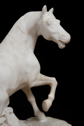 Marble Horse, Italy 19th century - 