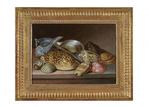 Entourage de Nicolaus Christopher Matthes - Nature morte aux coquillages, vers 1780