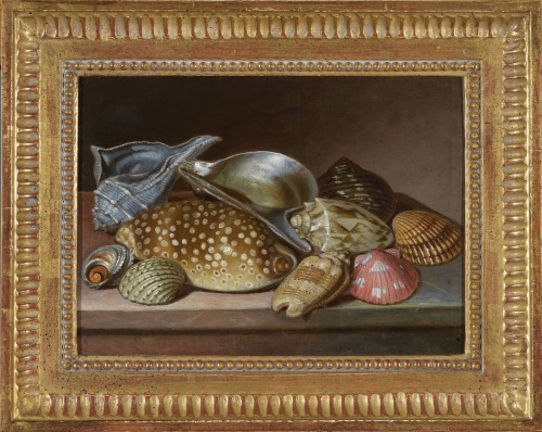 Circle of Nicolaus Christopher MATTHES, Still life of shells, ca. 1780-90 - Paintings & Drawings Style 