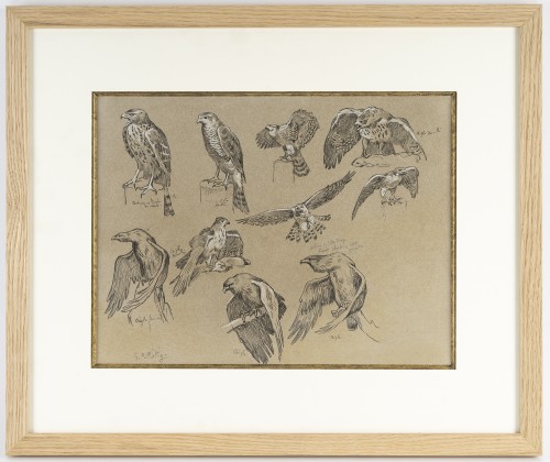 Georges-Frédéric Rötig (1873-1961), étude de rapaces