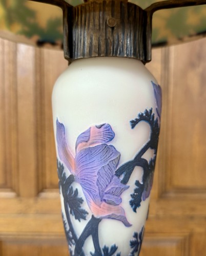 Glass & Crystal  - Muller frères a lunéville - lamp with anemone decoration art nouveau period