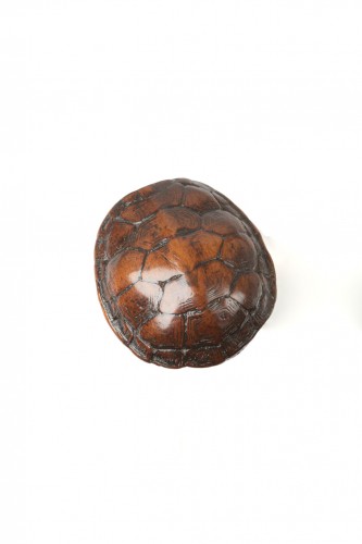 A Japanese turtle netsuke, Edo period - 