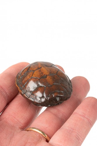 A Japanese turtle netsuke, Edo period - 