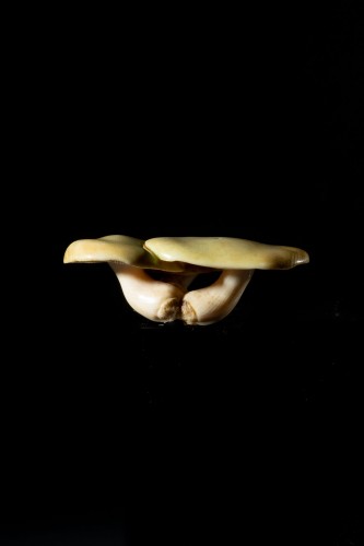 Netsuke - Groupe de trois champignons Japonais - Arts d