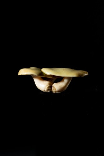 A Japanese group of three mushrooms Netsuke - Asian Works of Art Style 