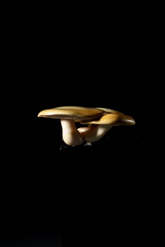 Asian Works of Art  - A Japanese group of three mushrooms Netsuke
