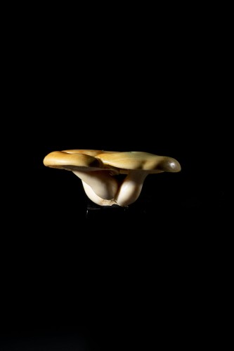 A Japanese group of three mushrooms Netsuke - 