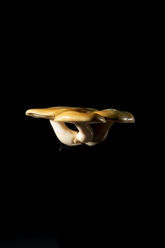 Antiquités - Netsuke - Groupe de trois champignons Japonais