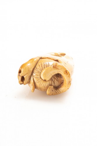 XIXe siècle - Netsuke le cèdre, de la main de Bouddha, Japon Edo