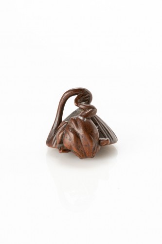 XIXe siècle - Netsuke crapaud sur une fleur de lotus avec une araignée, Japon période Meiji (1868-1912)