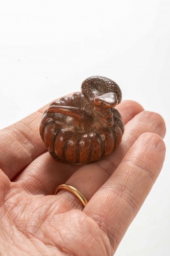 XIXe siècle - Netsuke en buis figurant un serpent s'enroulant autour d'une citrouille