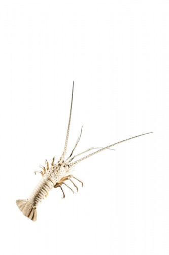 An Ivory Okimono Depicting The Study Of An Articulated Lobster