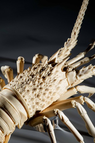 An Ivory Okimono Depicting The Study Of An Articulated Lobster - Asian Works of Art Style 