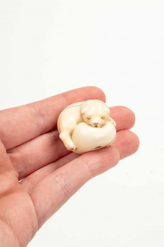 XIXe siècle - Netsuke japonais en ivoire marin représentant un chiot
