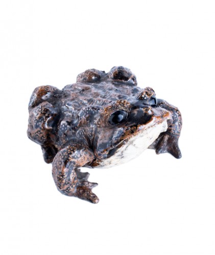 A Japanese okimono of a toad 