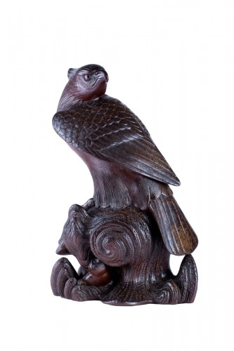 A Japanese study of an hawk