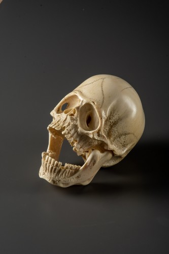 Kogyoku – Grand crâne en ivoire articulée - Arts d