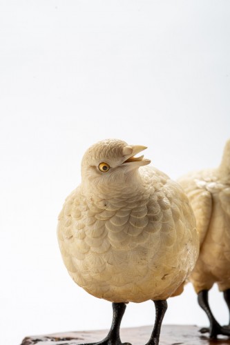 A Japanese pair of quails  - 