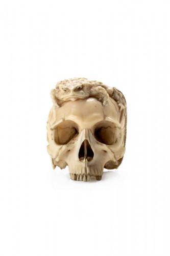 Incroyable crâne de crapaud en ivoire