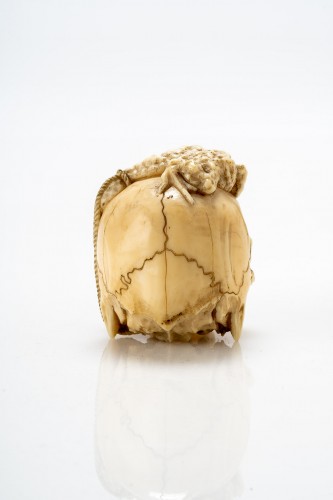 Incroyable crâne de crapaud en ivoire - Arts d