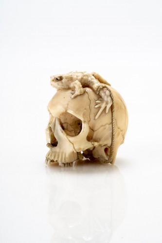 Incroyable crâne de crapaud en ivoire - Mastromauro Japanese Art